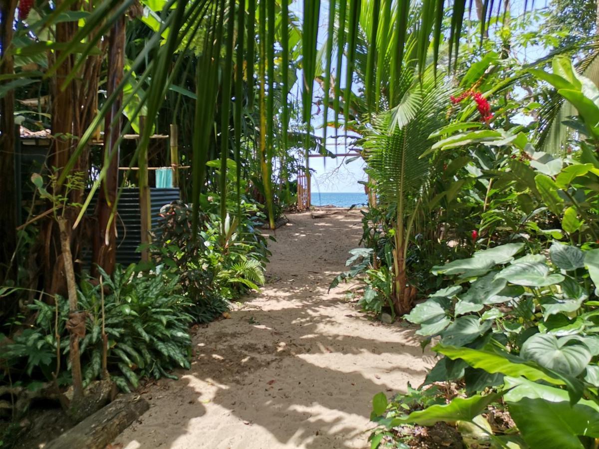 Hostel Oasis Puerto Viejo de Talamanca Exterior foto