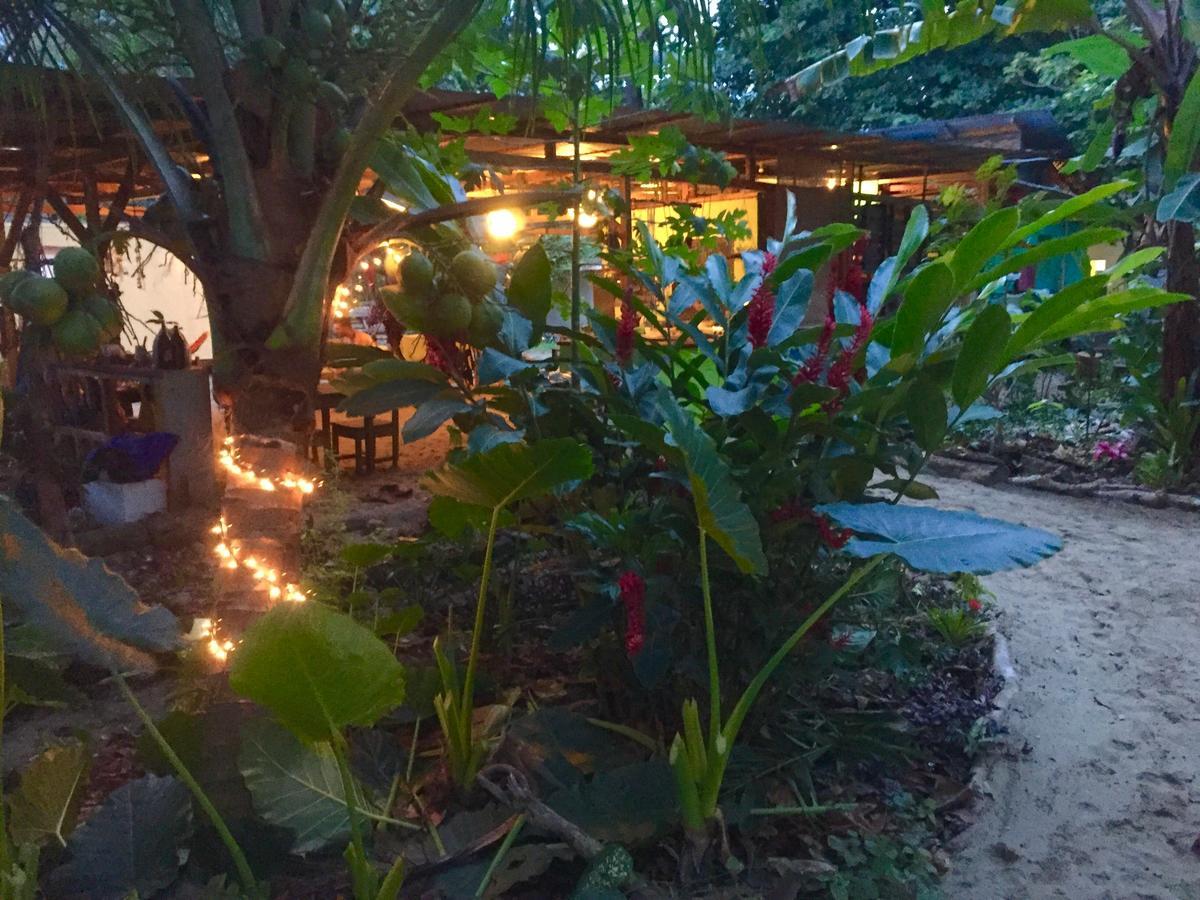 Hostel Oasis Puerto Viejo de Talamanca Exterior foto