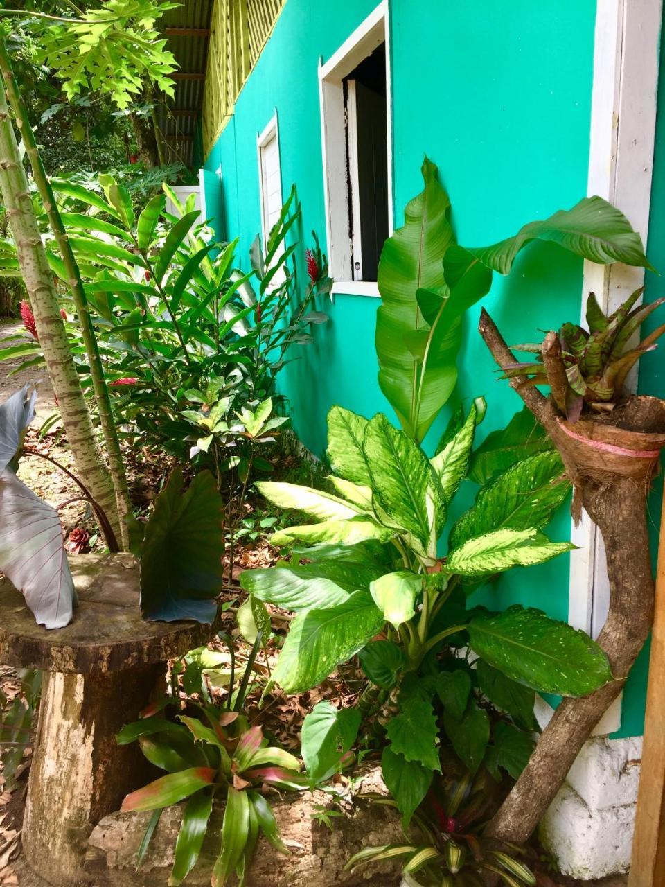 Hostel Oasis Puerto Viejo de Talamanca Exterior foto